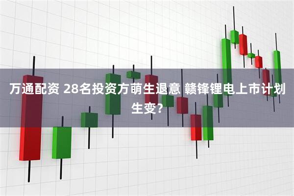 万通配资 28名投资方萌生退意 赣锋锂电上市计划生变？