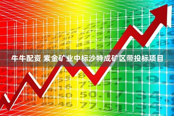 牛牛配资 紫金矿业中标沙特成矿区带投标项目