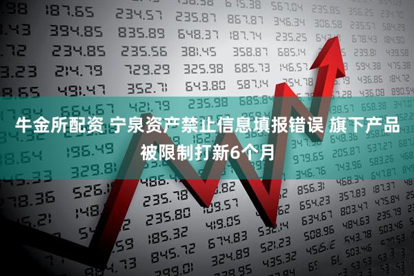 牛金所配资 宁泉资产禁止信息填报错误 旗下产品被限制打新6个月