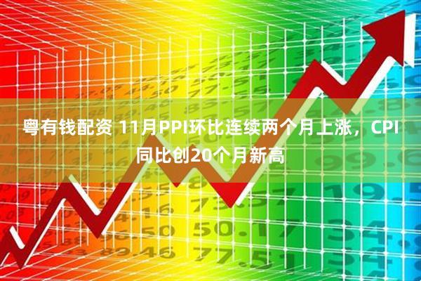 粤有钱配资 11月PPI环比连续两个月上涨，CPI同比创20个月新高